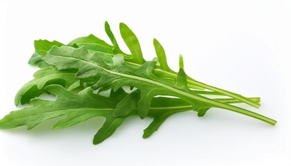 Canvas Print - fresh green arugula leaves on a white background