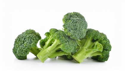 Canvas Print - broccoli isolated on white background