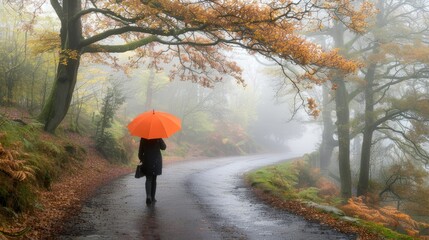 Wall Mural - an umbrella walks along the path