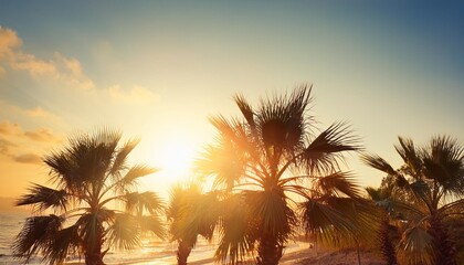 Wall Mural - sun flare behind palm trees