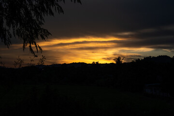 A silhouette skyscraper view of sunlight, sunrise, sunset or evening time, A shadow of tree top, An freedom or inspiration Sunset photo, background, wallpaper or banner with copy space.