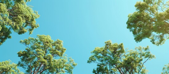 Wall Mural - Scenic view of trees against a clear blue sky with copy space image