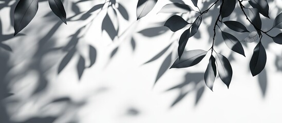 Leinwandbilder - Blurry shadows of tree leaves on a light gray background. with copy space image. Place for adding text or design