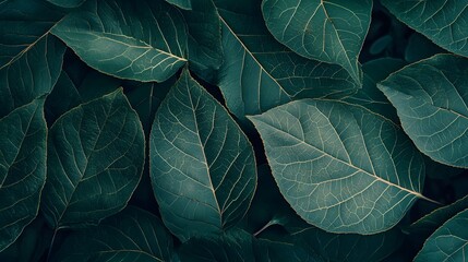 detailed textures of green leaves with intricate veins and natural patterns perfect for organic visu