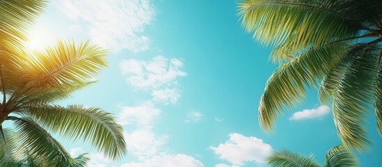 Aufkleber - Palm trees set against a blue sky with clouds A tropical summer travel frame background featuring copyspace