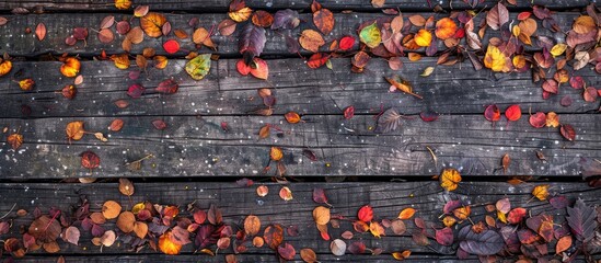 Fototapete - fallen autumn foliage and leaves on weathered wood. with copy space image. Place for adding text or design