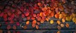 © vxnaghiyev - Creative arrangement of vibrant autumn leaves on a weathered wooden surface A gradient of fall leaf colors Top view copyspace