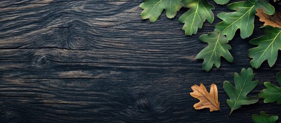 Leinwandbilder - oak leaves on dark wood. with copy space image. Place for adding text or design