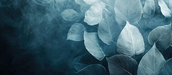 Leinwandbilder - Stunning abstract backdrop featuring skeleton leaves. with copy space image. Place for adding text or design