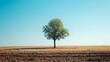 © Heng Heng - AI Stock - A lone weathered tree stands solitary in a vast barren field its bare branches reaching skyward as a symbol of resilience perseverance and the indomitable spirit of nature in the face of adversity