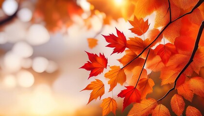 Wall Mural - autumn leaves red leaves in autumn