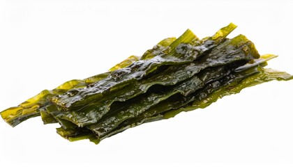 seaweed isolated on transparent background cutout