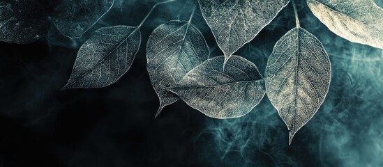 Leinwandbilder - Stunning abstract backdrop featuring skeleton leaves. with copy space image. Place for adding text or design