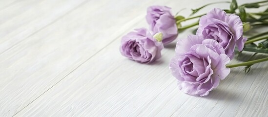 Poster - Lovely eustoma flowers on a white wooden surface. with copy space image. Place for adding text or design