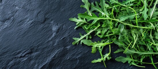 Poster - Top view of arugula on black slate featuring copy space