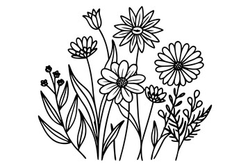 Wall Mural - chamomile, nobor of flowers illustration