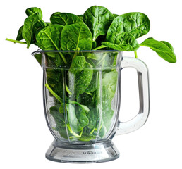 Wall Mural - PNG Spinach leaves in a blender vegetable plant food.