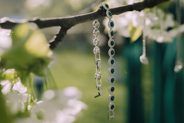 Wall Mural - Two bracelets hanging from a tree branch, one is silver and the other is green. The scene is peaceful and serene, with the bracelets dangling from the tree in the sunlight