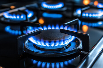Leinwandbilder - A stove burner with blue flames