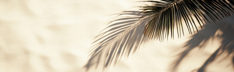 Wall Mural - shadow of a palm tree on light sand, with subtle textures and ample space for text