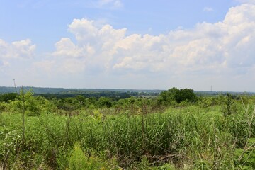 The countryside horizon on a sunny day.