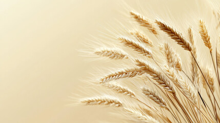 Wall Mural - Wheat stalks gently swaying on a warm beige background, with clean lines and ample space for text