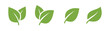 © vladwel - Leaves vector icon set, leaf herb green simple graphic pictogram illustration isolated cut out image, small branch shape silhouette as eco or organic element symbol clip art label