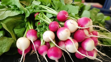 Wall Mural - Freshly Picked Red Radishes with Green Leaves