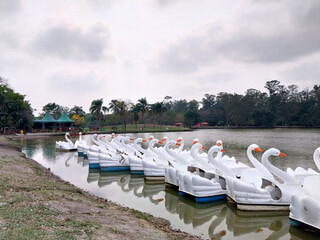 Wall Mural - Parque ecológico at Tiête Sawan boats 