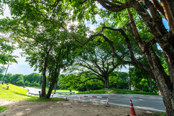 a public place leisure travel landscape lake views at Ang Kaew Chiang Mai University and Doi Suthep nature forest Mountain views spring cloudy sky background with white cloud.