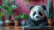 © Helois - A cute panda cub sits on a desk with a laptop, surrounded by plants in a pink background.