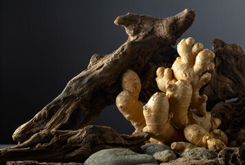 Poster - Ginger root with old snags and stones on a black background.