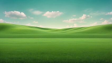 Grass field background green grass