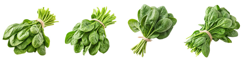 Wall Mural - set of A Isolated bunch of fresh spinach leaves on a transparent background