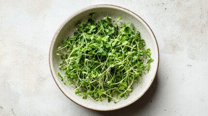 Top view of a bowl filled with fresh microgreens on a white background. Organic and nutritious greens for healthy home cooking.