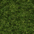 © Jonas Weinitschke - Fresh Green Grass Texture - Natural Lawn Background - seamless pattern