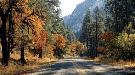 Thanksgiving in California. Yosemite National Park: Tree Tunnel Road