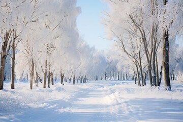 Wall Mural - Snow-covered trees on both sides of the road in a winter forest on a sunny day