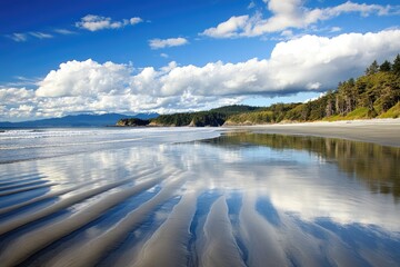 Canvas Print - Long Beach Vancouver Island. National Park on the Pacific Rim in Canada