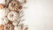 © netrun78 - A collection of minimalistic beige and brown pumpkins arranged on a pastel background, complemented by feather decorations, creating a serene fall aesthetic with ample copy space.