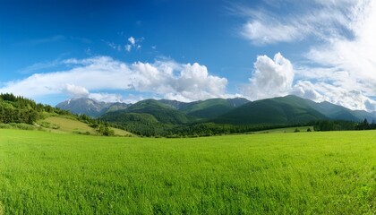 Canvas Print - panoramic natural landscape with green grass field blue sky with clouds and mountains in background