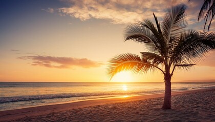 Canvas Print - palm tree at the summer sunset vacation beach