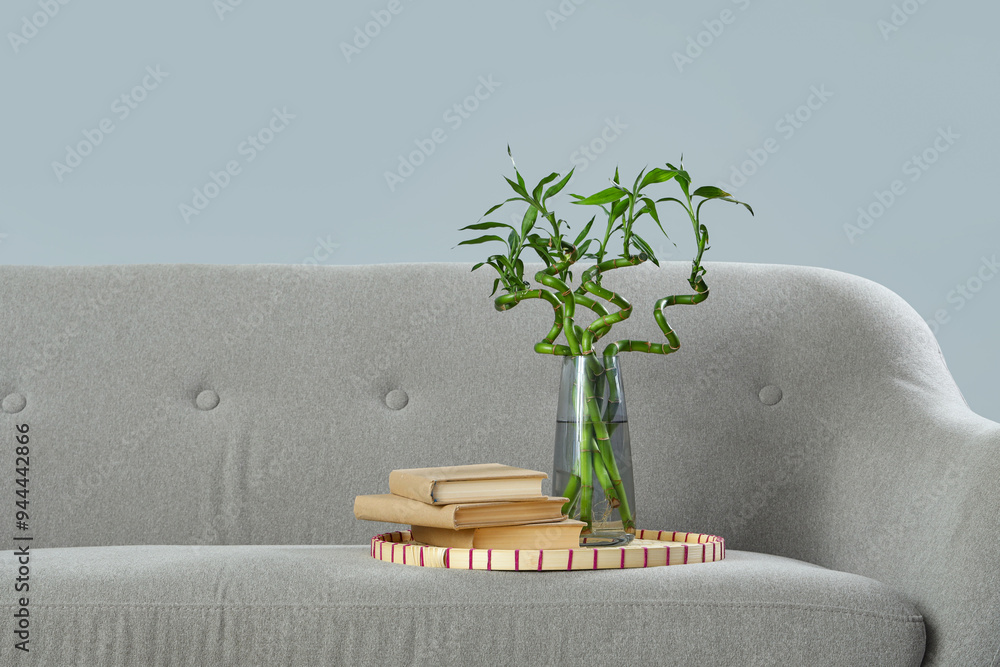 Modern living room interior with sofa, plant and books on grey background