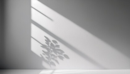 Wall Mural - minimalistic abstract light gray background for product presentation with light and intricate shadow from window on wall