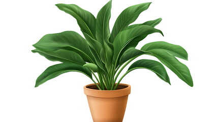 home plant with big juicy green leaves in pot on transparency background PNG