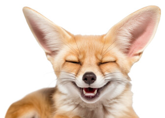 Sticker - PNG Smiling fennec fox mammal animal pet.