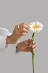 Wall Mural - Female hands with beautiful manicure and gerbera flower against grey background, closeup