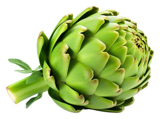 Poster - PNG Greeen artichoke vegetable plant food.