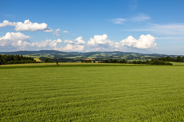 Sticker - Rural landscape near Letohrad, Czech Republic