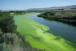 © EdvvinStudios - River water pollution with green algae bloom covering the surface